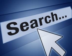 Drupal Vietnam Website Search and Product Search Functionality